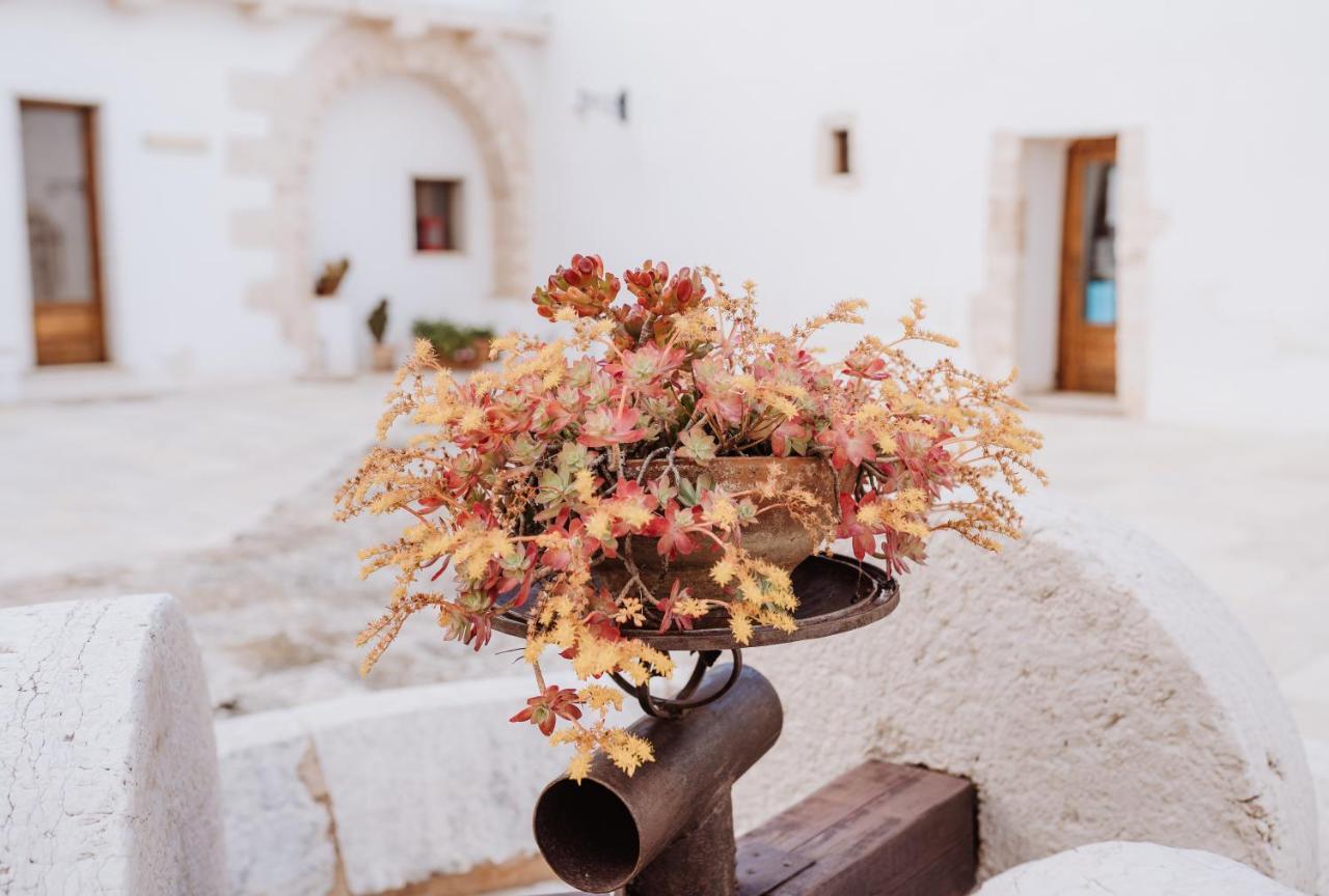 Masseria Casamassima Agriturismo Villa Ostuni Eksteriør bilde