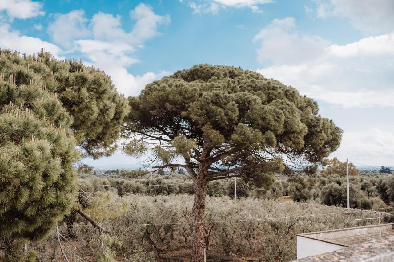 Masseria Casamassima Agriturismo Villa Ostuni Eksteriør bilde