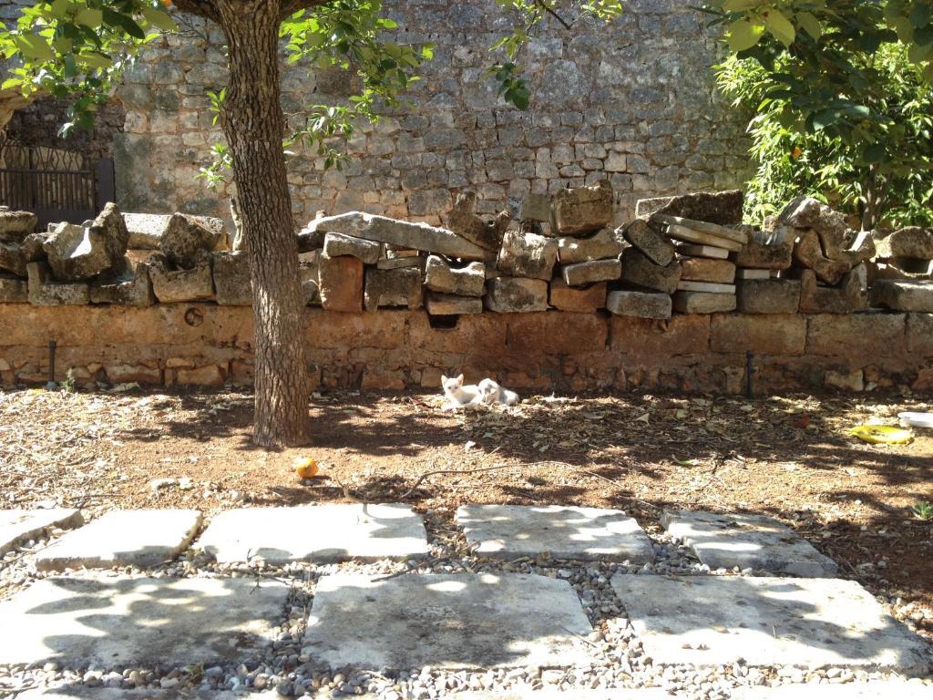 Masseria Casamassima Agriturismo Ostuni Eksteriør bilde